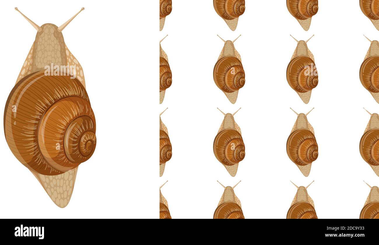Snail isolated on white background and seamless illustration Stock ...