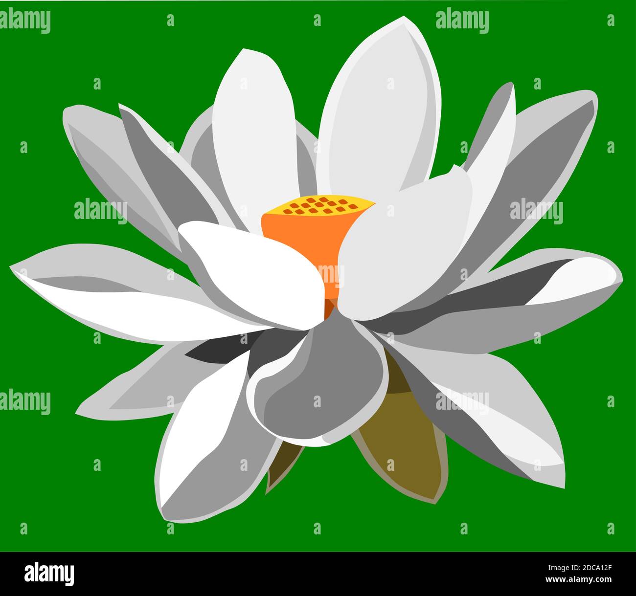 Vector of lotus flower Stock Vector Image & Art - Alamy
