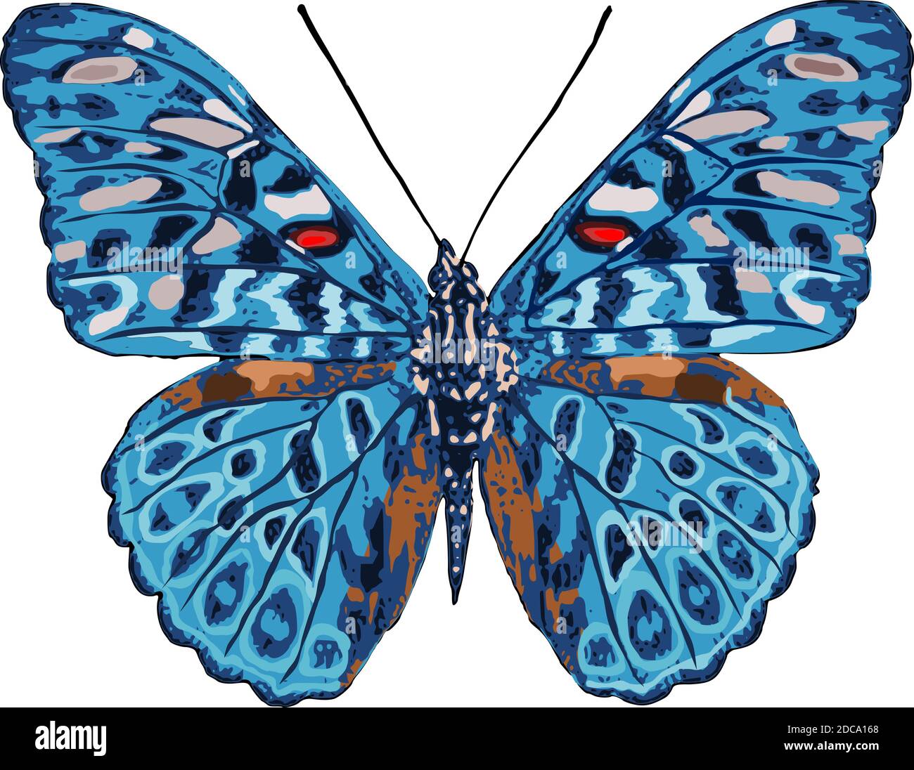 Vector of butterfly Stock Vector Image & Art - Alamy