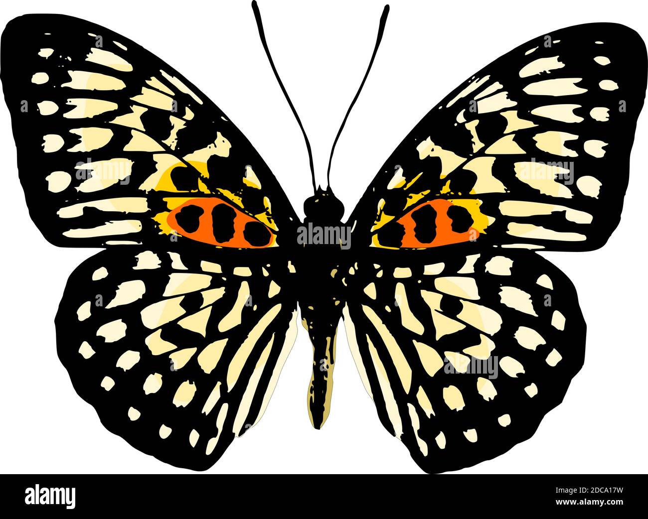 Vector of butterfly Stock Vector Image & Art - Alamy