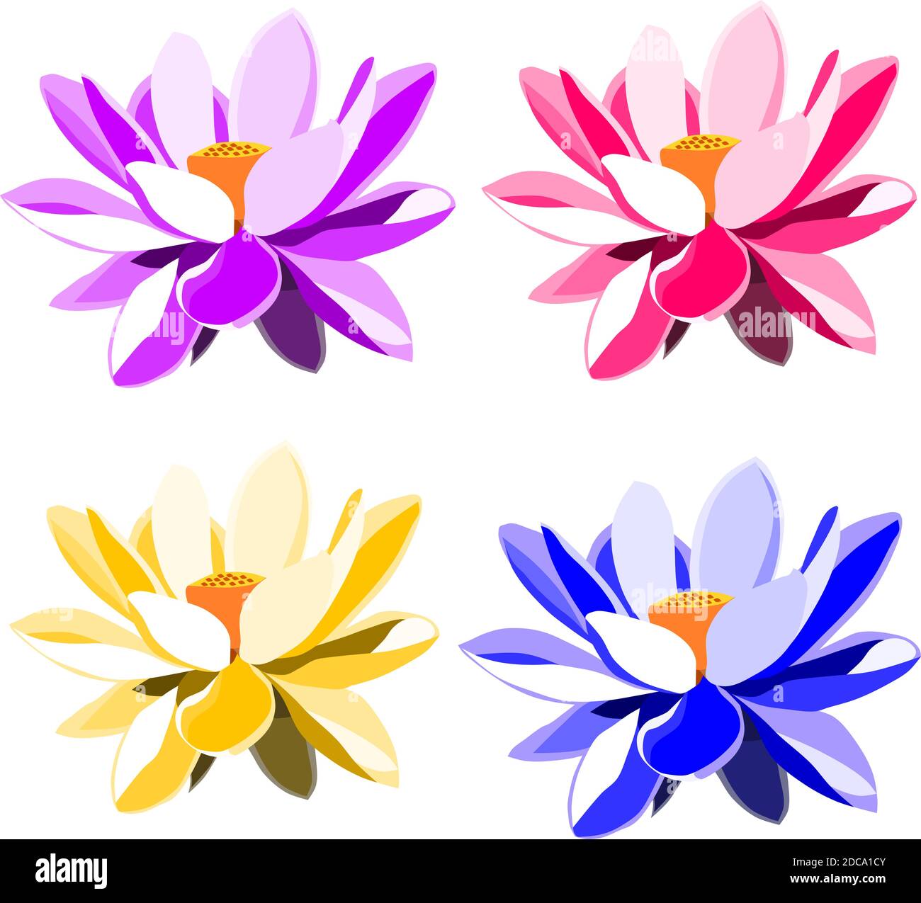 Vector of lotus flower Stock Vector Image & Art - Alamy