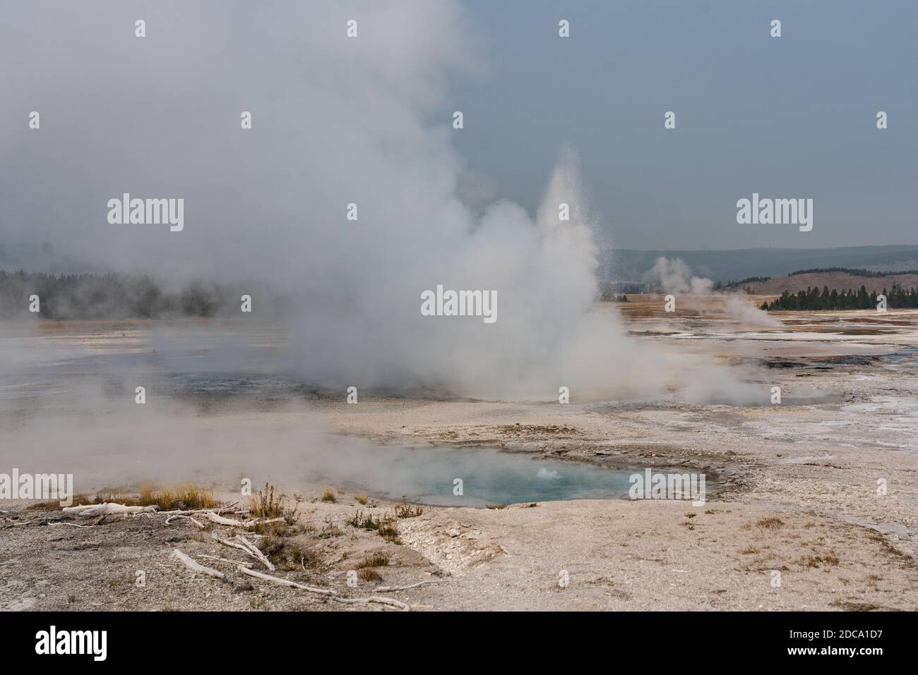 Clepsydra Geyser erupting with Spasm Geyser bubbling in the foreground in the Lower Geyser Basin in Yellowstone National Park, Wyoming, USA. Stock Photo