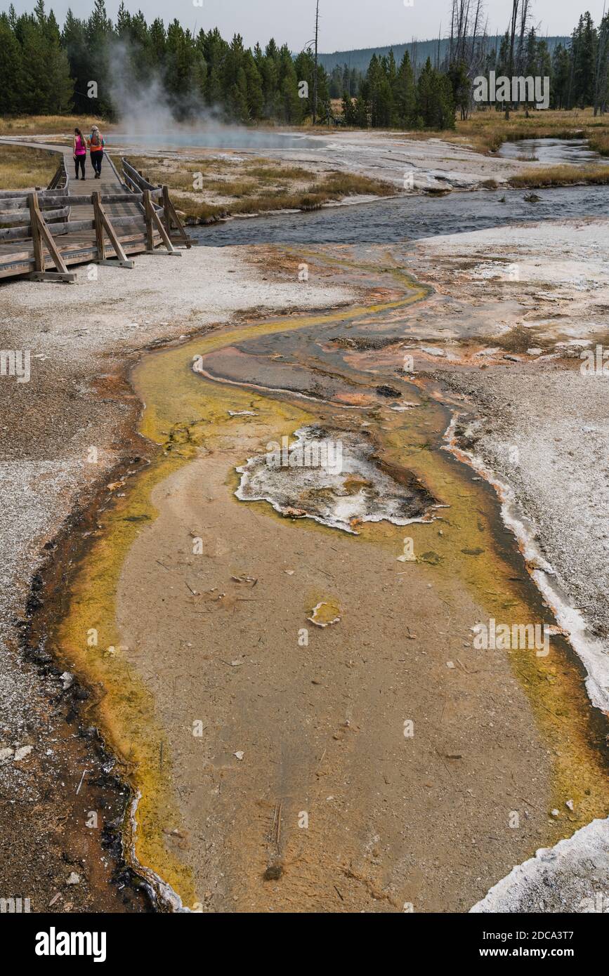 Water from hot springs with a mat of colorful thermophilic bacteria