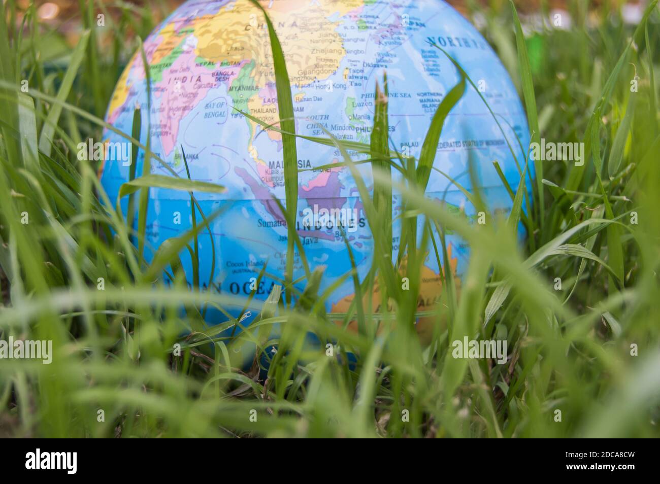 The globe model of the Earth in green grass showing ECO concept ...