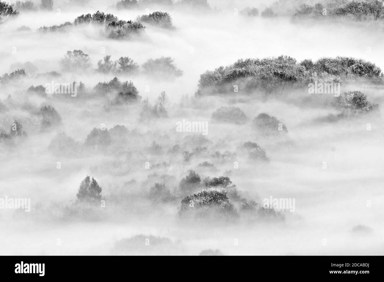 The awakening, black and white landscape in the wild Stock Photo - Alamy