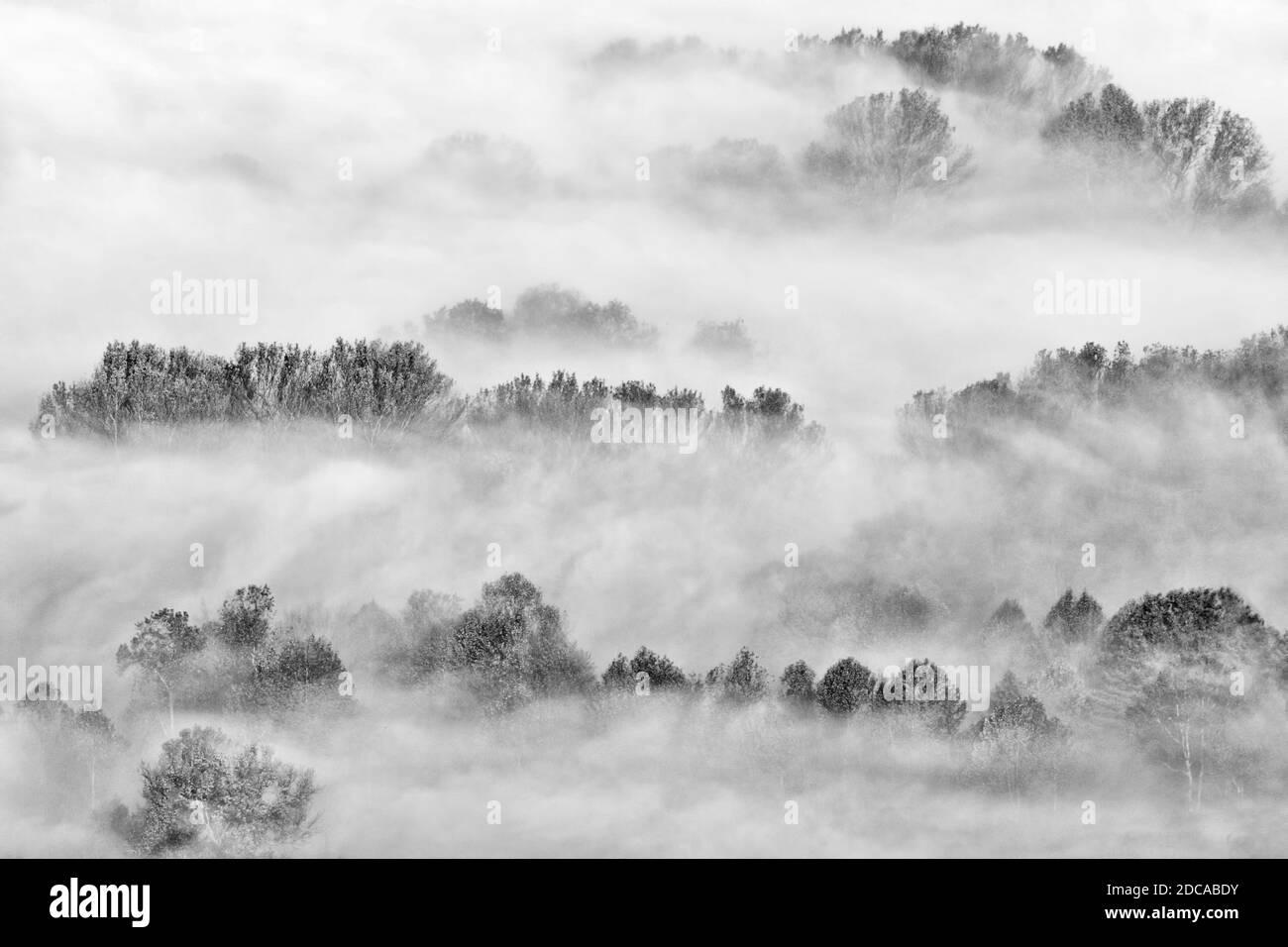 The awakening, black and white landscape in the wild Stock Photo - Alamy