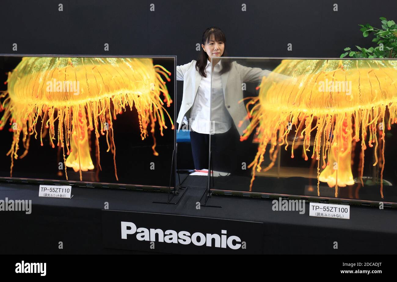 Kadoma, Japan. 20th Nov, 2020. Japanese electronics giant Panasonic unveils 55-inch sized transparent organic light emitting diode (OLED) panel at the company's laboratory in Kadoma city in Osaka on Friday, November 20, 2020. Panasonic will put two models on the market next month, one is see-through model and another is dimmable model with dimming unit which can display high contrast and clear images. Credit: Yoshio Tsunoda/AFLO/Alamy Live News Stock Photo