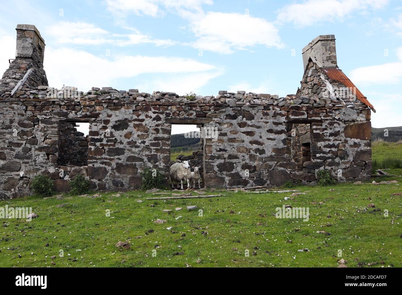 A sheep and lamb standing in the doorway of an abandoned cottage at Shiaba, a deserted village, in the Ross of Mull on the Isle of Mull Stock Photo