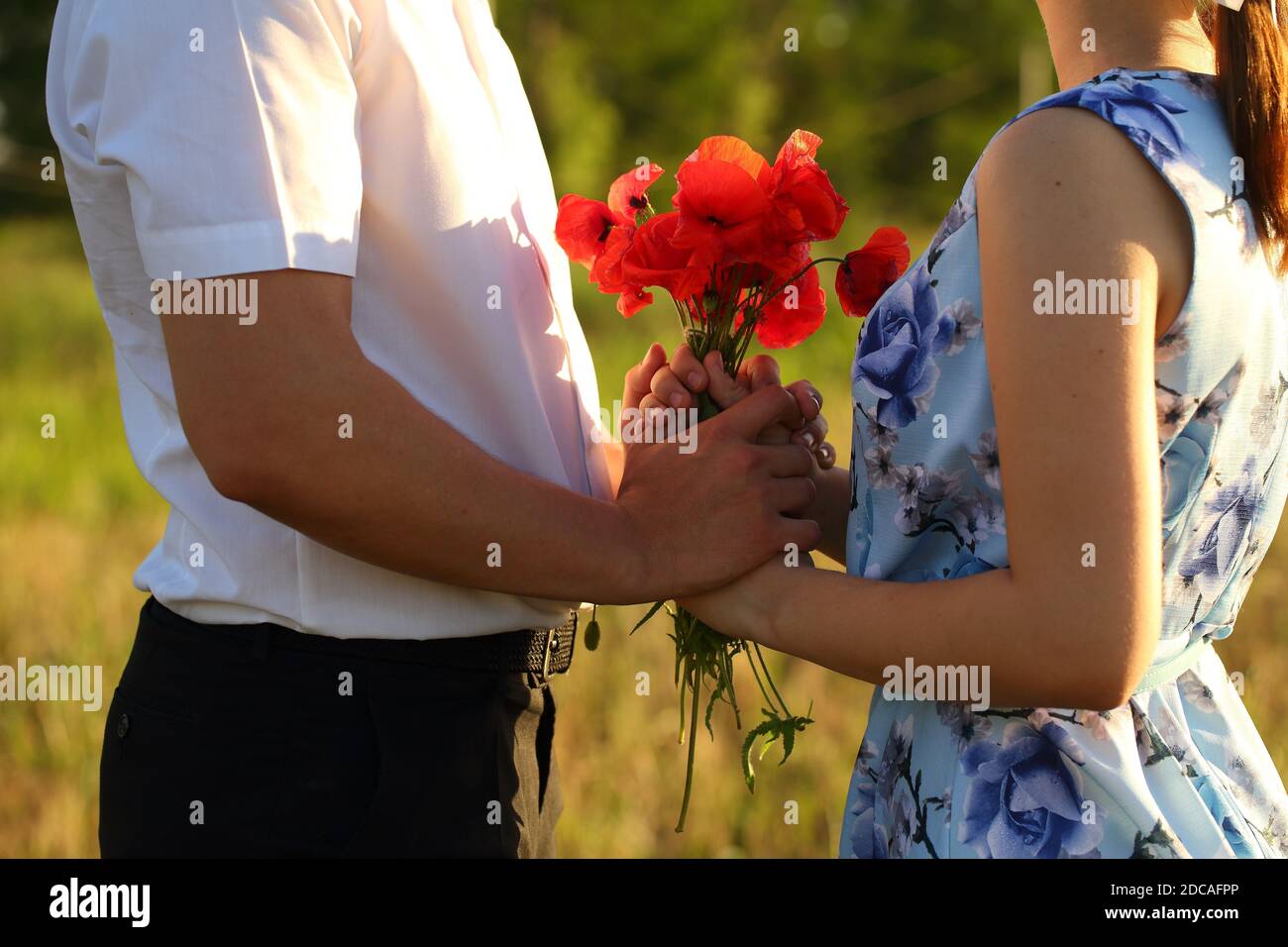 Hands with a bouquet of poppies Stock Photo