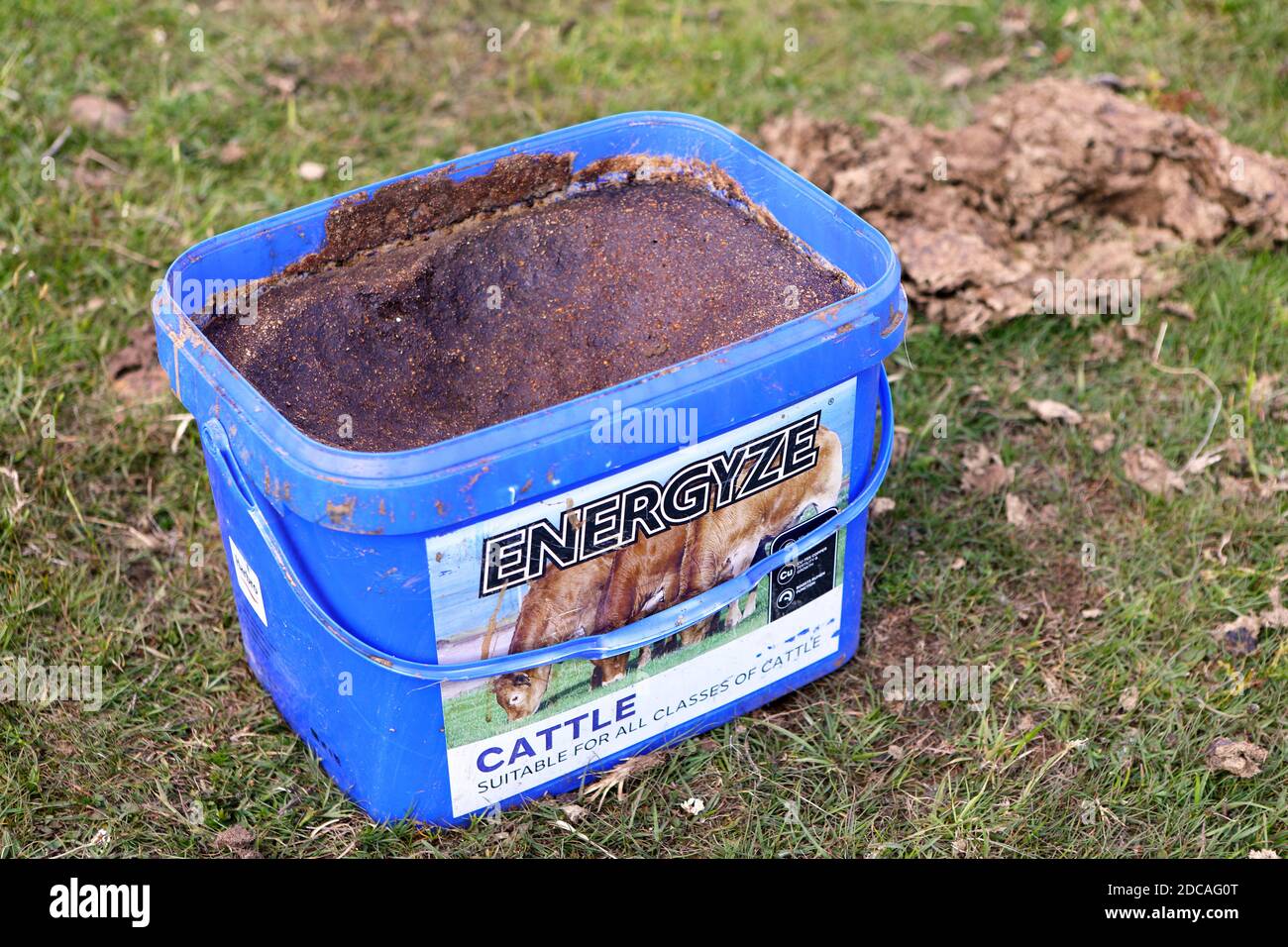 Energyze tub of cow nutrition Stock Photo