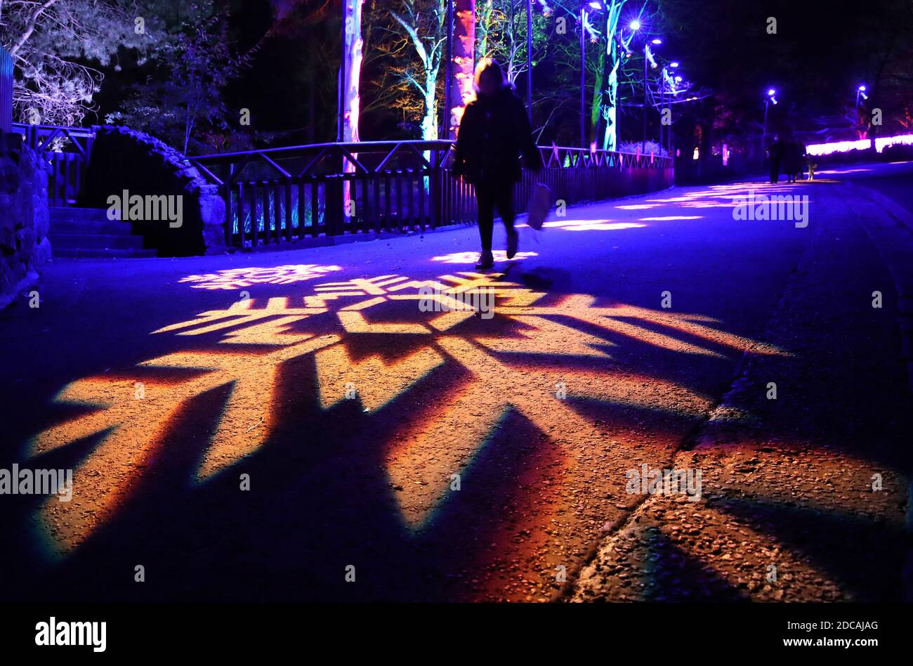 Zoo newsandroyalty20thnovember2020 hi-res stock photography and images ...