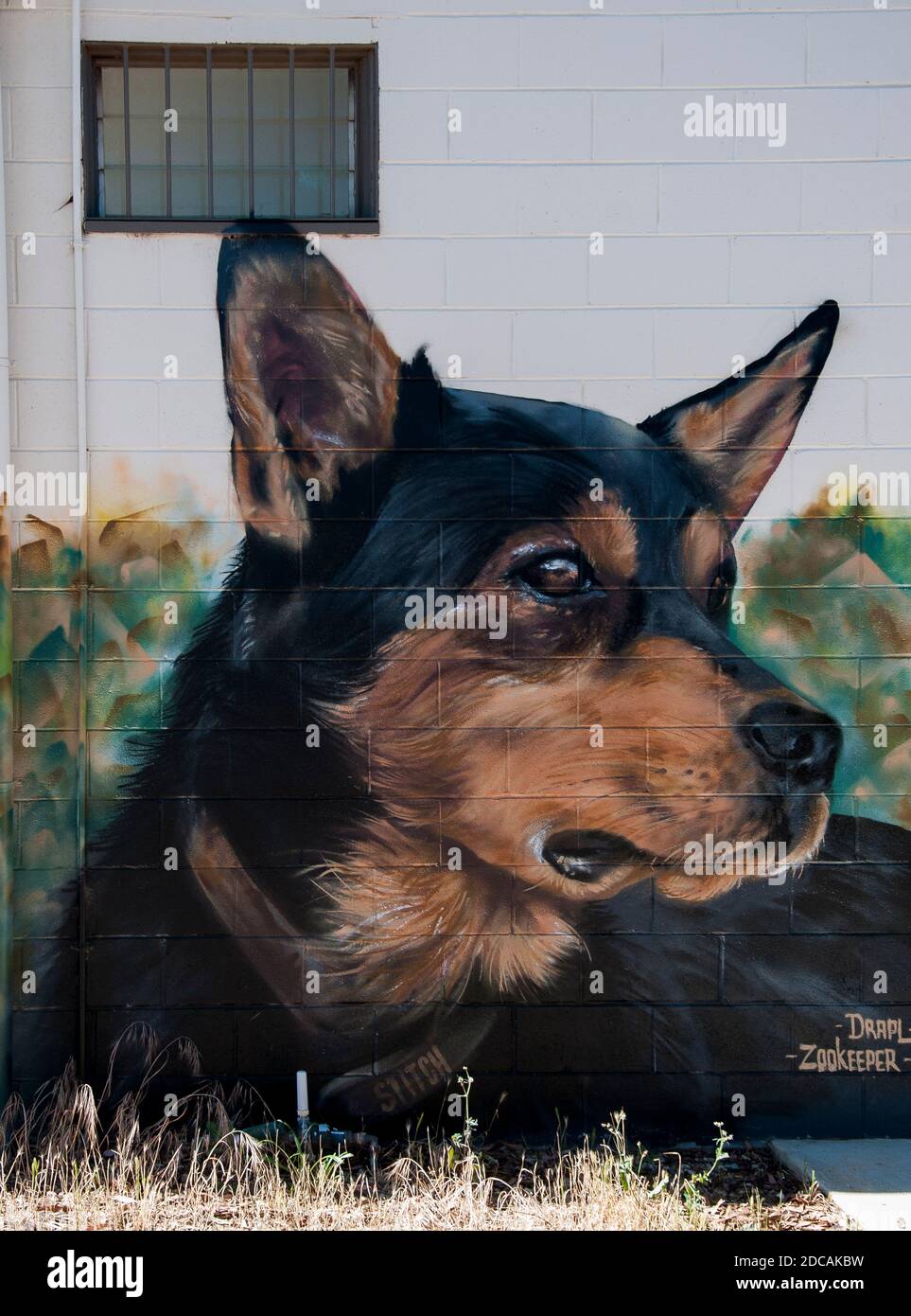 Street art mural of a cattle dog by Drapl And The Zookeeper  at Sea Lake in the Mallee region, Victoria, Australia Stock Photo