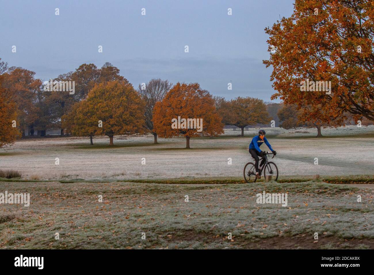 Richmond Upon Thames, London. 20th Nov 2020. UK Weather: A frost covered landscape at Richmond Park in west London on a bright Autumn morning, Richmond Upon Thames, England, UK. 20th Nov, 2020. England, United Kingdom Credit: Jeff Gilbert/Alamy Live News Stock Photo