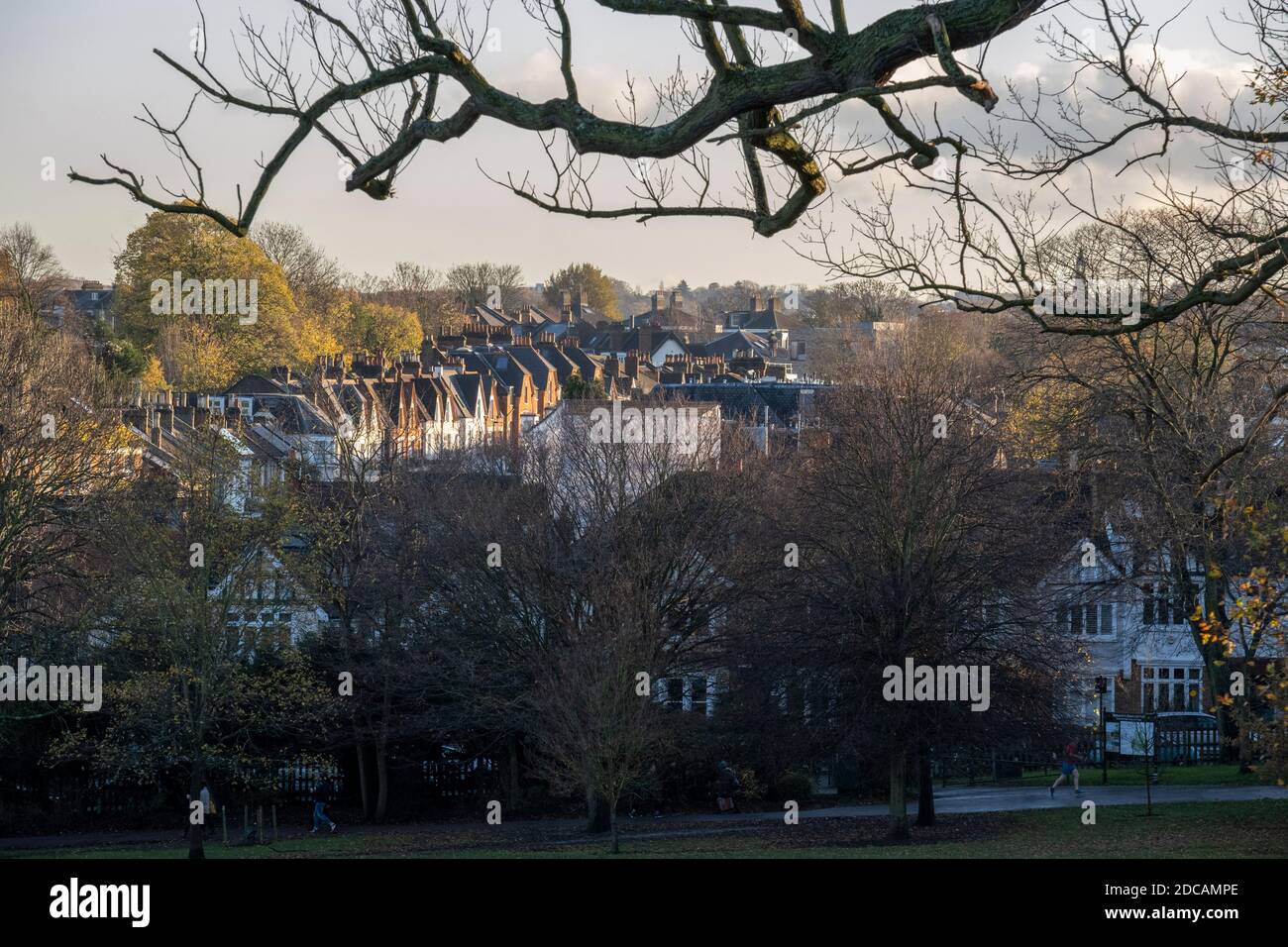 Terraced houses and Victorianera flats are seen from Herne Hill's