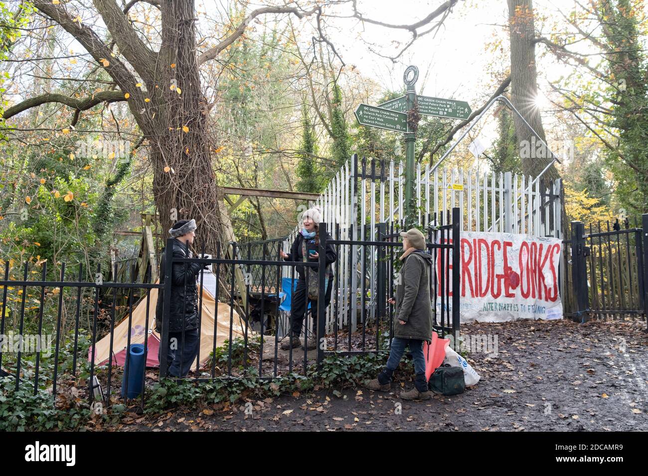 Activists protest in Sydenham Hill Woods against the proposed felling of two 100+ year-old oak trees, threatened by Southwark Council because of their proximity to 'Pissarro's' footbridge whose renovation has been deemed necessary by the local authority, on 17th November 2020, in London, England. The Nunhead to Crystal Palace (High Level) railway once passed through the Wood and Impressionist artist  Camille Pissarro (1830–1903) famously painted a railway landscape from the bridge in the 1870s. Sydenham Hill Wood forms part of the largest remaining tract of the old Great North Wood, a vast are Stock Photo