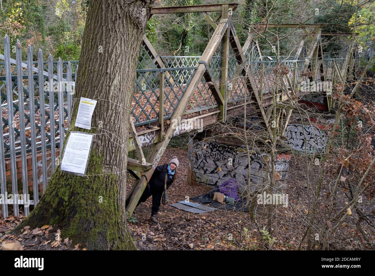 An activist against the proposed felling of two 100+ year-old oak trees, occupies the site under  'Pissarro's' footbridge whose renovation has been deemed necessary by the Southwark Council , on 17th November 2020, in London, England. The Nunhead to Crystal Palace (High Level) railway once passed through the Wood and Impressionist artist Camille Pissarro (1830–1903) famously painted a railway landscape from the bridge in the 1870s. Sydenham Hill Wood forms part of the largest remaining tract of the old Great North Wood, a vast area of worked coppices and wooded commons that once stretched acro Stock Photo