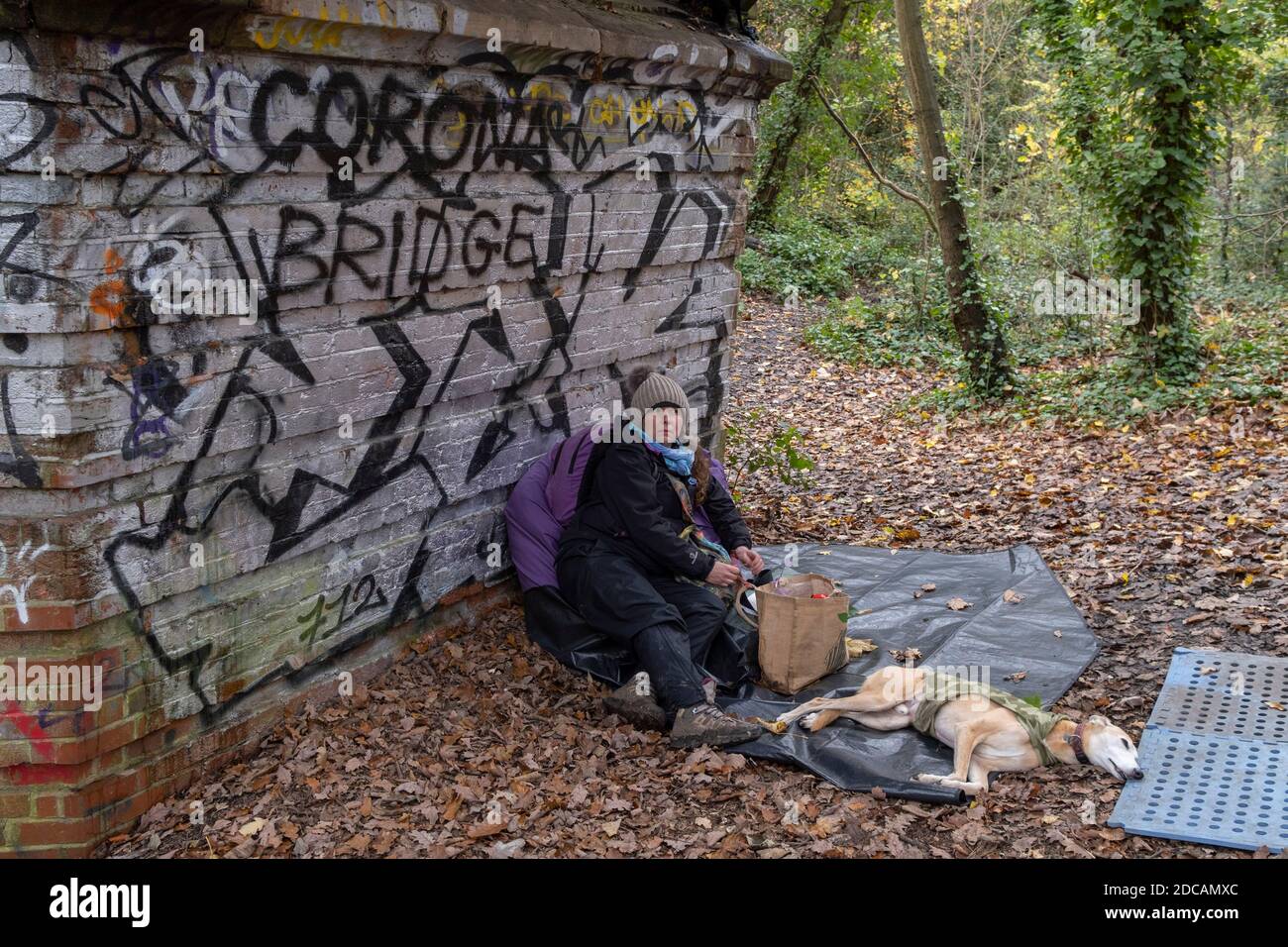 An activist against the proposed felling of two 100+ year-old oak trees, occupies the site under  'Pissarro's' footbridge whose renovation has been deemed necessary by the Southwark Council , on 17th November 2020, in London, England. The Nunhead to Crystal Palace (High Level) railway once passed through the Wood and Impressionist artist Camille Pissarro (1830–1903) famously painted a railway landscape from the bridge in the 1870s. Sydenham Hill Wood forms part of the largest remaining tract of the old Great North Wood, a vast area of worked coppices and wooded commons that once stretched acro Stock Photo