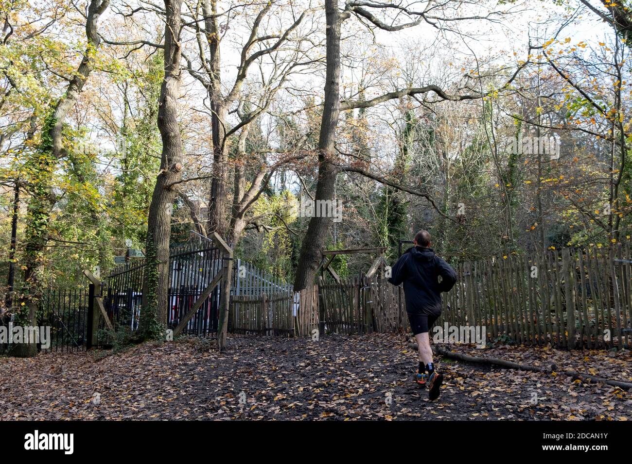 A runner approaches a gate where a protest is ongoing in Sydenham Hill Woods, against the proposed felling of two 100+ year-old oak trees, threatened by Southwark Council because of their proximity to 'Pissarro's' footbridge whose renovation has been deemed necessary by the local authority, on 18th November 2020, in London, England. The Nunhead to Crystal Palace (High Level) railway once passed through the Wood and Impressionist artist  Camille Pissarro (1830–1903) famously painted a railway landscape from the bridge in the 1870s. Sydenham Hill Wood forms part of the largest remaining tract of Stock Photo