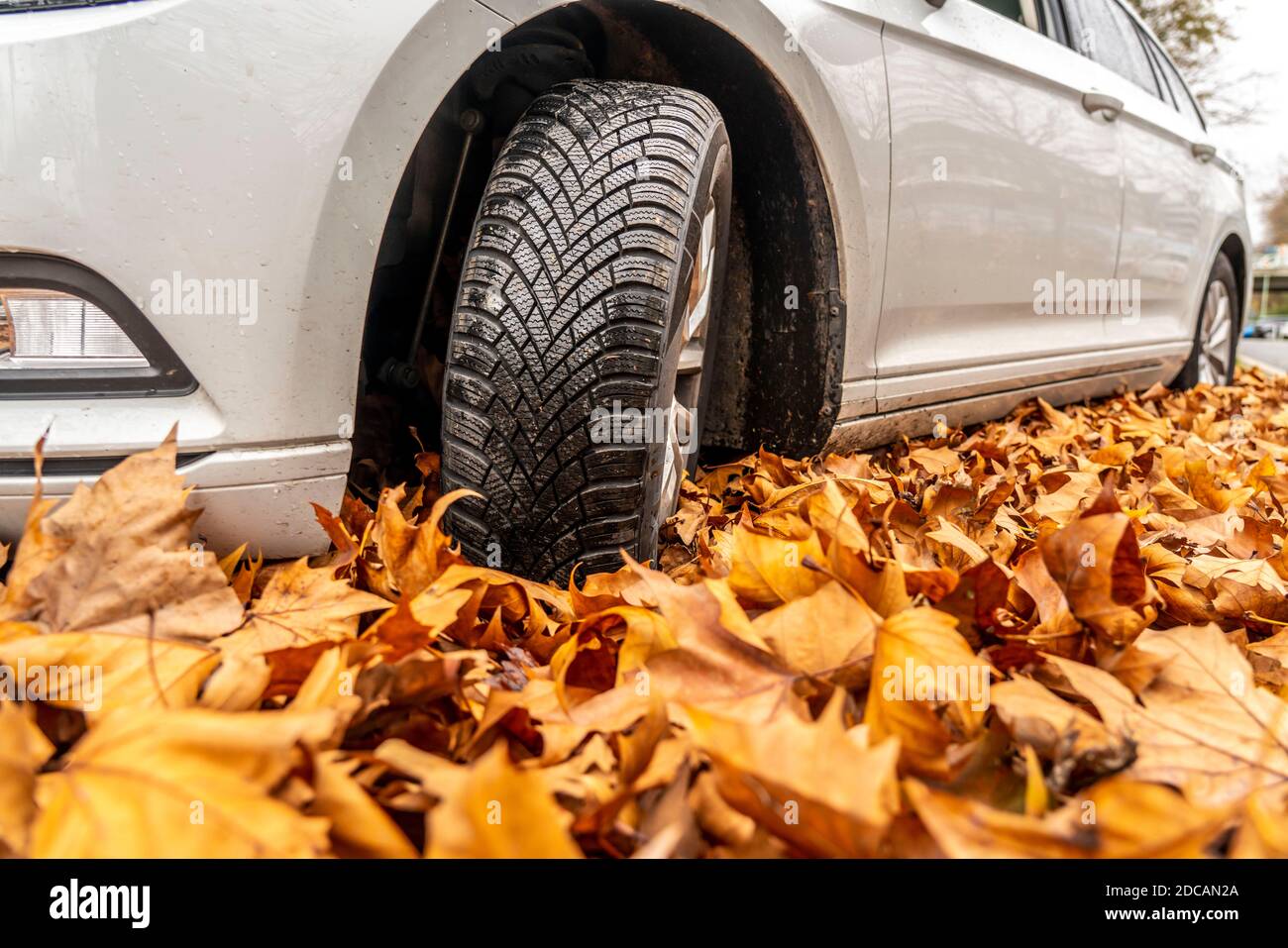 Car, Driving on autumn leaves, slippery ground, leaves, grip through winter tyres, Stock Photo
