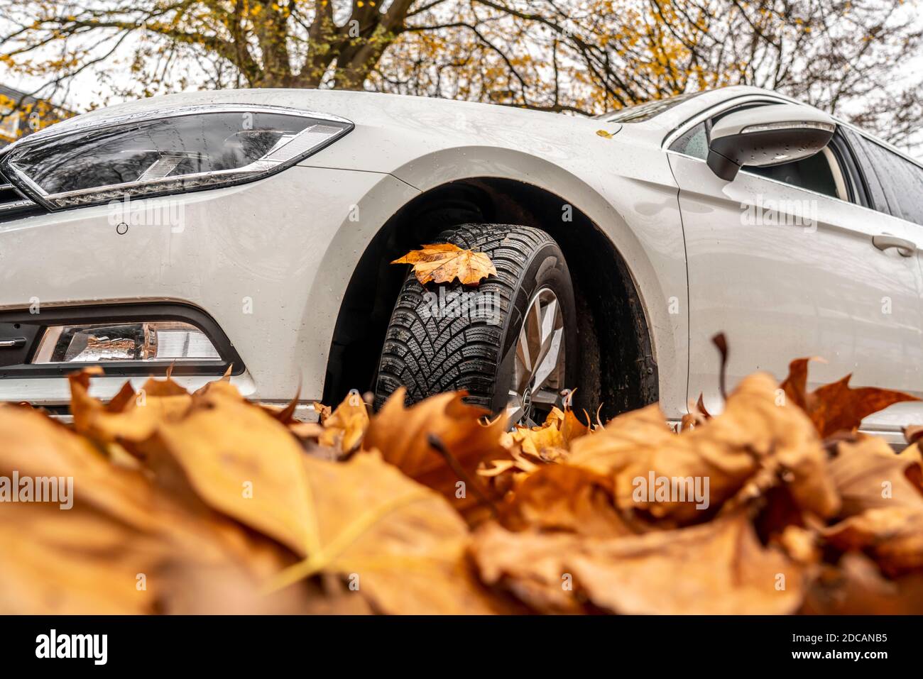 Car, Driving on autumn leaves, slippery ground, leaves, grip through winter tyres, Stock Photo