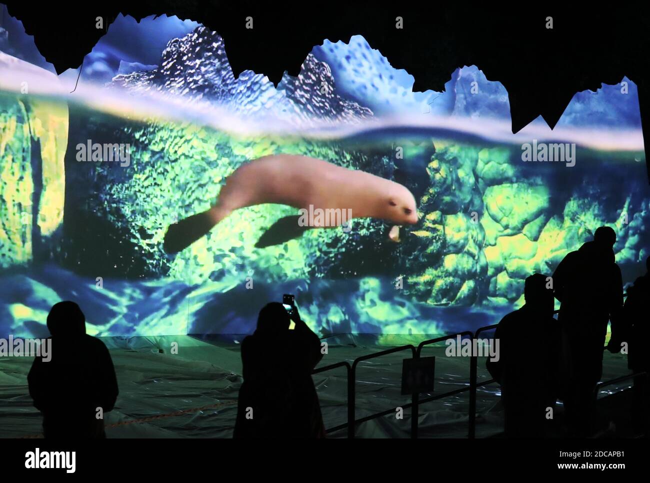 Edinburgh zoo christmas nights hires stock photography and images Alamy
