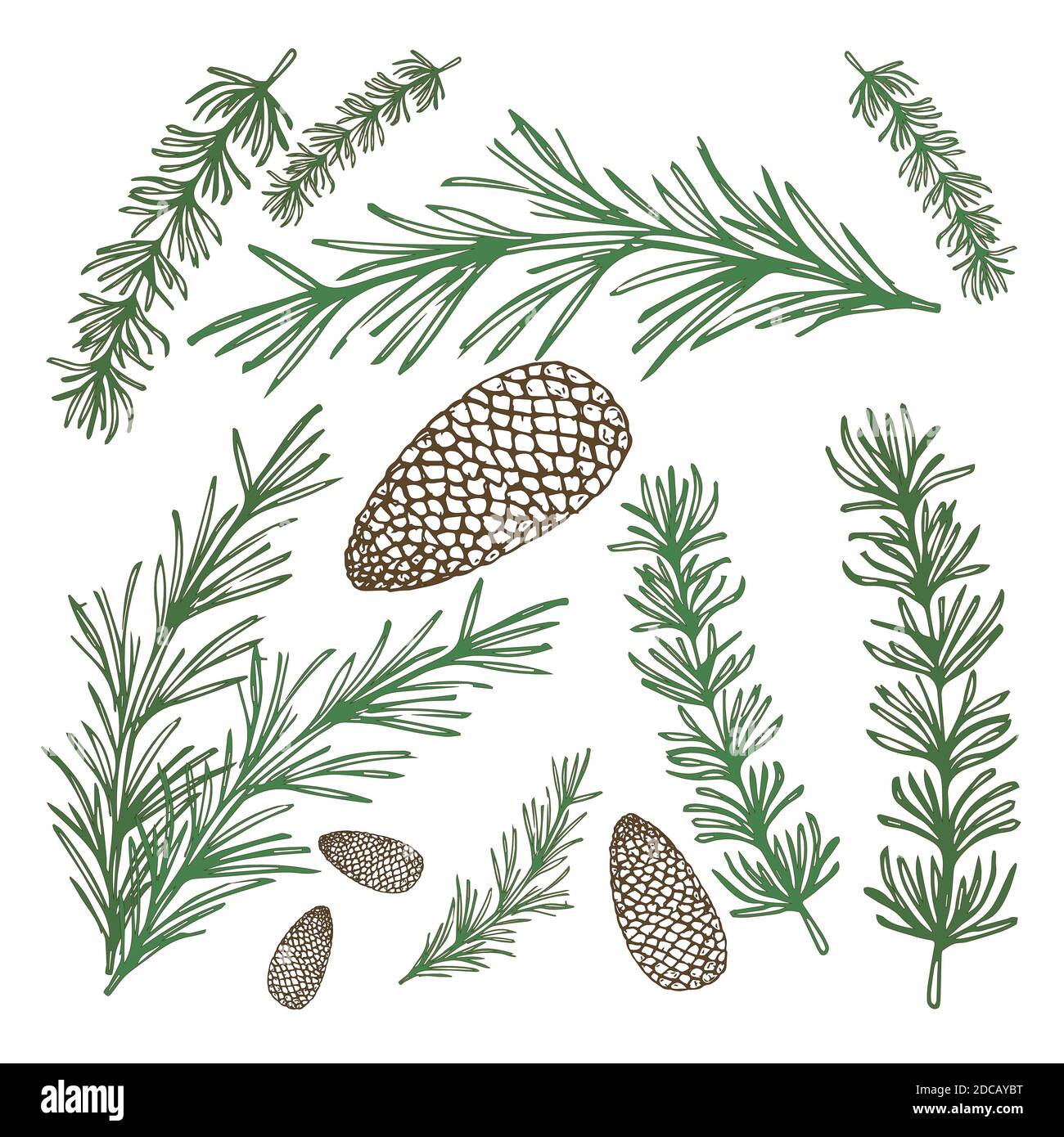 Pine branches for Christmas decorations, set composition banner realistic abstract vector illustration Stock Vector