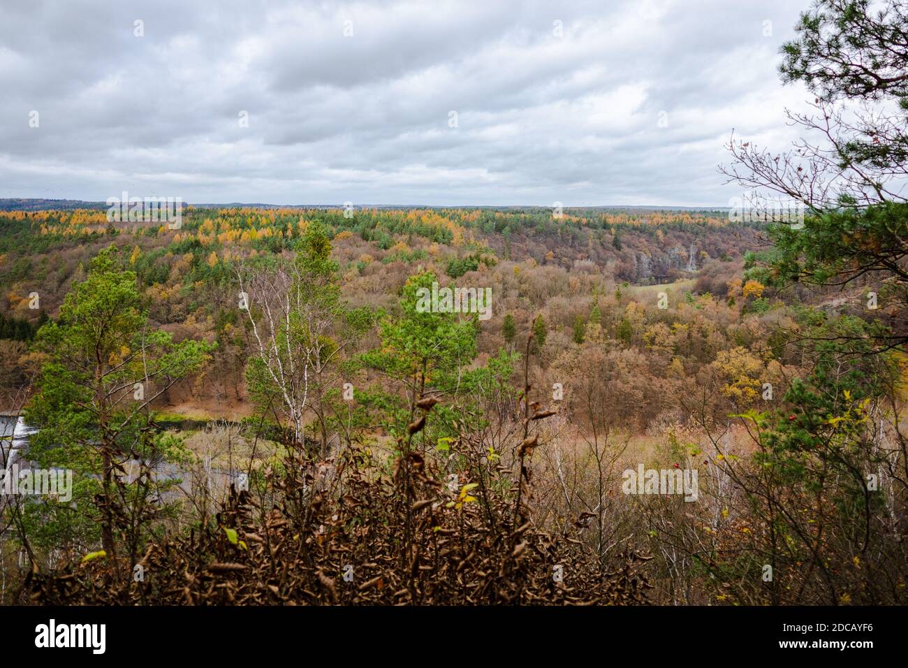 The view of the distant forest, where the orange and green tree tops are mixed. There's a river winding down there. Stock Photo