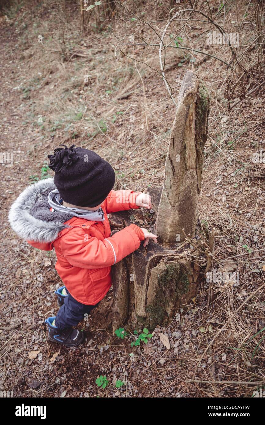 Stump Activity A child plays with a stump Stock Photo - Alamy