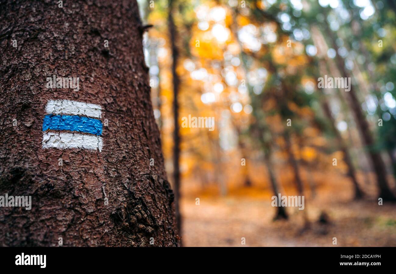 Blue Hiking Trail Detail Of Touristic Marking On Hiking Trails Marks