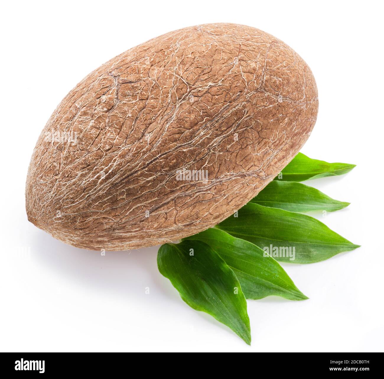 Peeled whole coconut seed with leaves isolated on white background