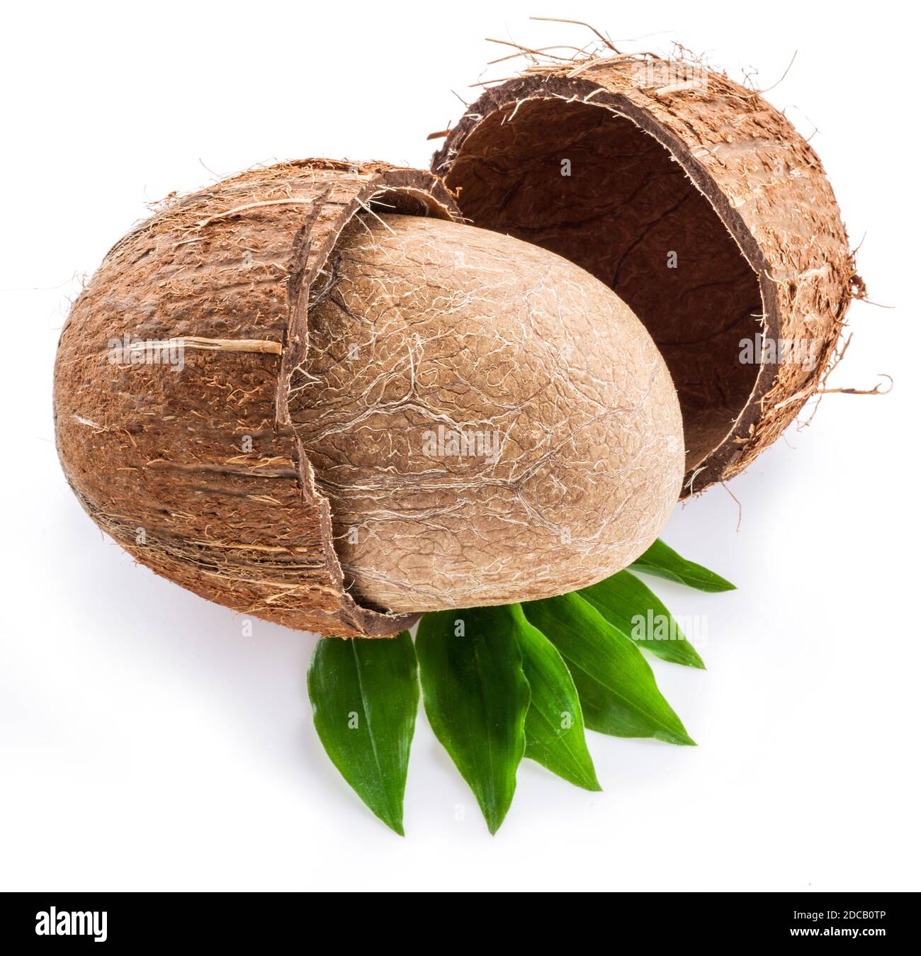 Split coconut fruit with whole inside seed over green leaves isolated on white background. Stock Photo