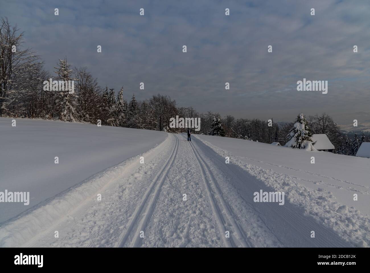 Winter above Bukovec village in easternmost part of Czech republic with well-prepared cross-country skiing trail, trees and blue sky with clouds Stock Photo