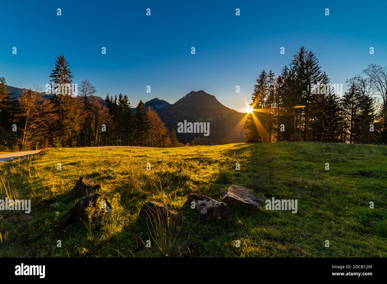 Die Abendsonne leuchtet als Stern durch die Baumkrone über dem Rheintal. zwei Bäume stehen allein auf dem Hügel und bilden eine Krone. Spotlight Stern Stock Photo