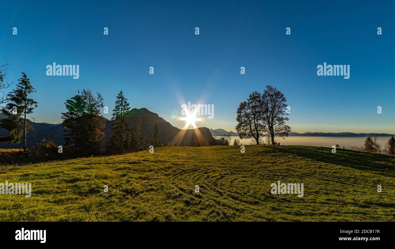 Die Abendsonne leuchtet als Stern durch die Baumkrone über dem Rheintal. zwei Bäume stehen allein auf dem Hügel und bilden eine Krone. Spotlight Stern Stock Photo