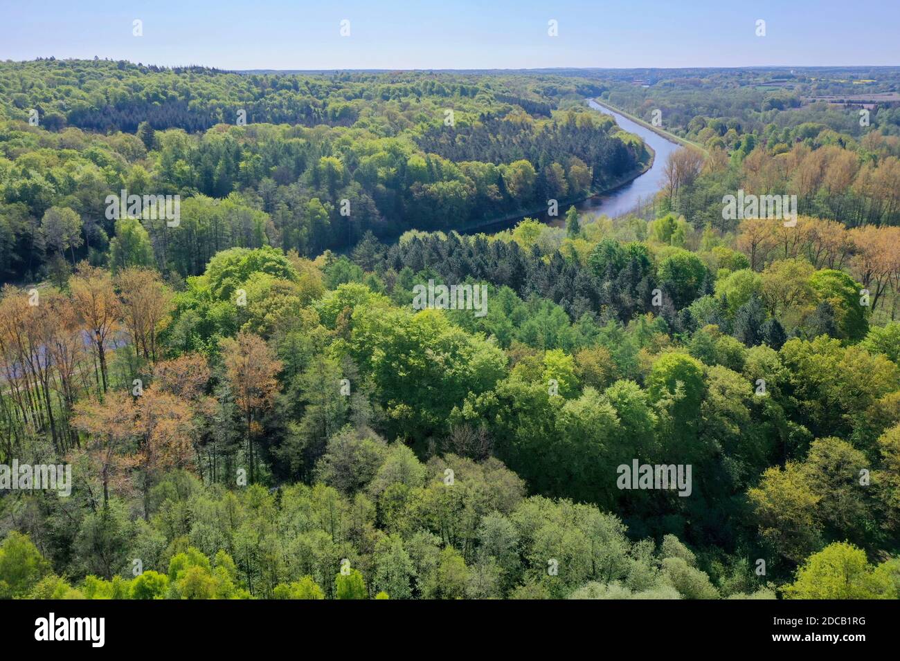 mixed forest and Elbe-Luebeck Canal, drone photo, Germany, Schleswig-Holstein Stock Photo