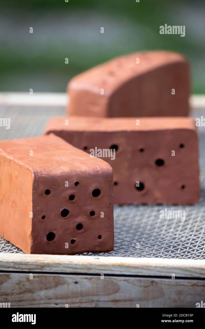 bees box is made of clay blocks, ready blocks a dried, series picture 11/13, Germany Stock Photo