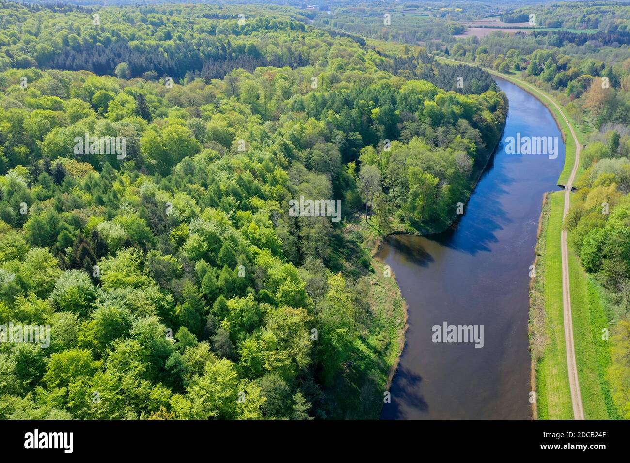 mixed forest and Elbe-Luebeck Canal, drone photo, Germany, Schleswig-Holstein Stock Photo