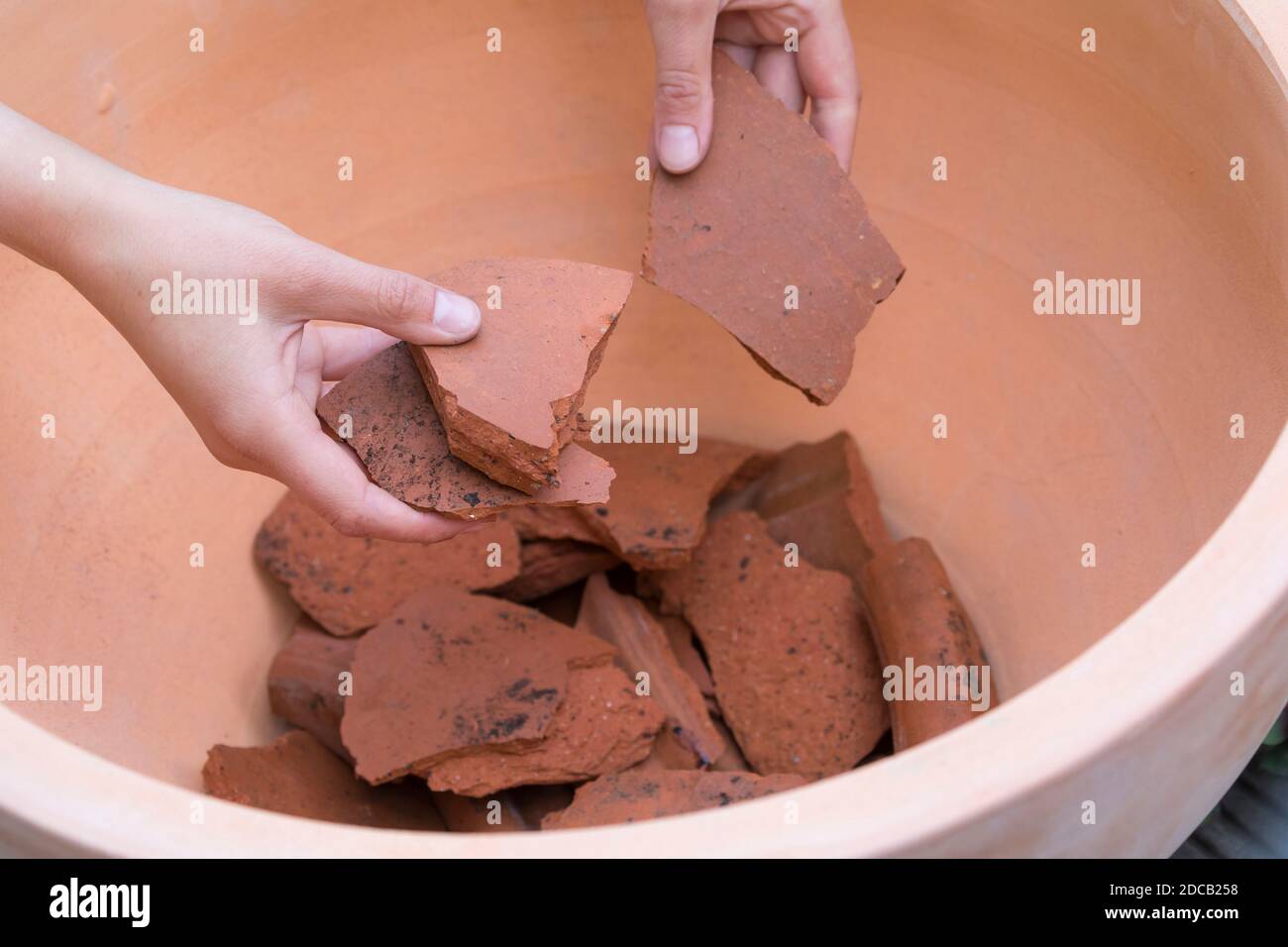 making a mini sandarium for wild bees, bowl is filled with crocks for drainage, series picture 6/18, Germany Stock Photo