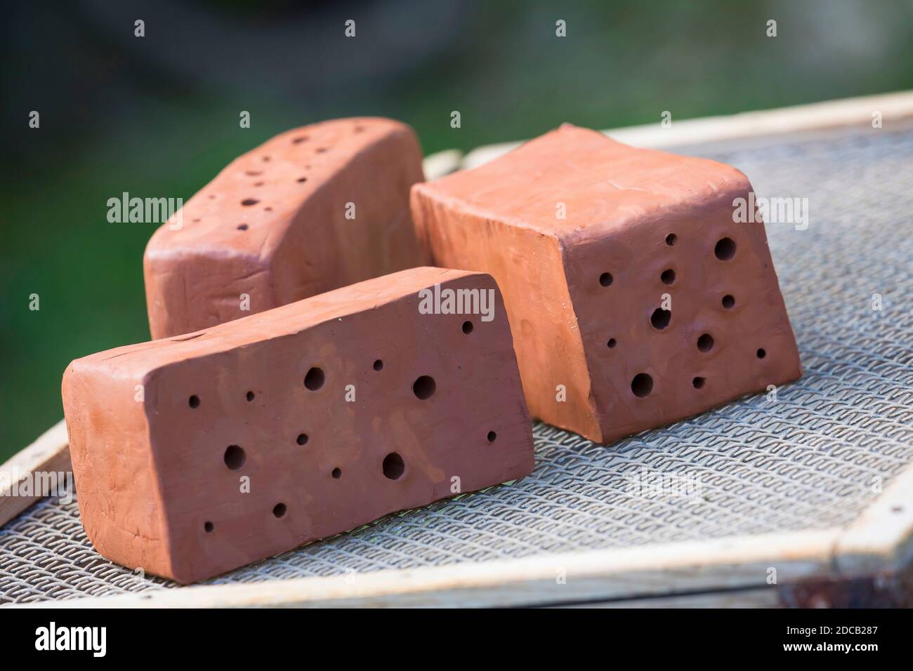 bees box is made of clay blocks, ready blocks a dried, series picture 10/13, Germany Stock Photo