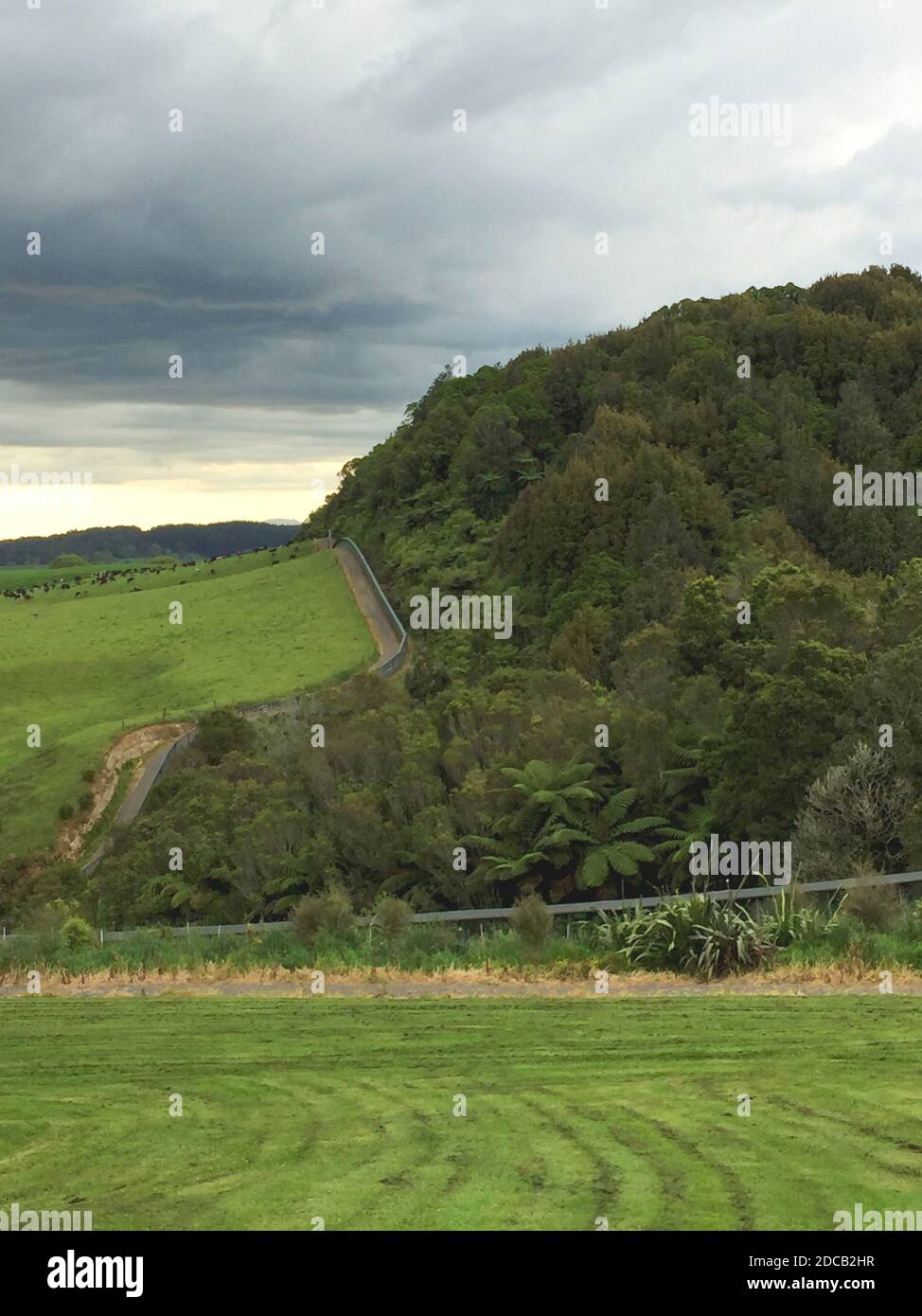 Predator proof fench in New Zealand. Protecting native forest and wildlife against invasive species, New Zealand, Northern Island Stock Photo