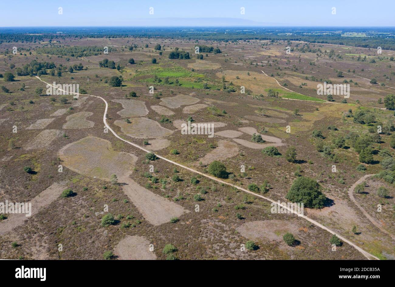 heath landscape with plagued areas, aerial view, Netherlands, Overijssel, Sallandse Heuvelrug National Park Stock Photo