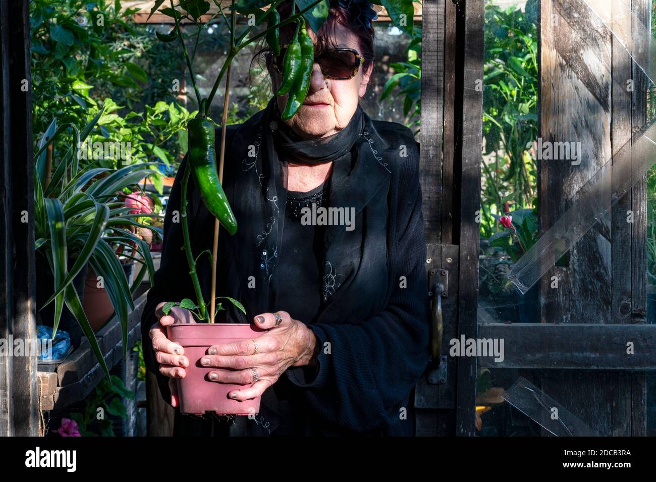 Woman in her garden self isolating during Covid-19 lockdown Stock Photo