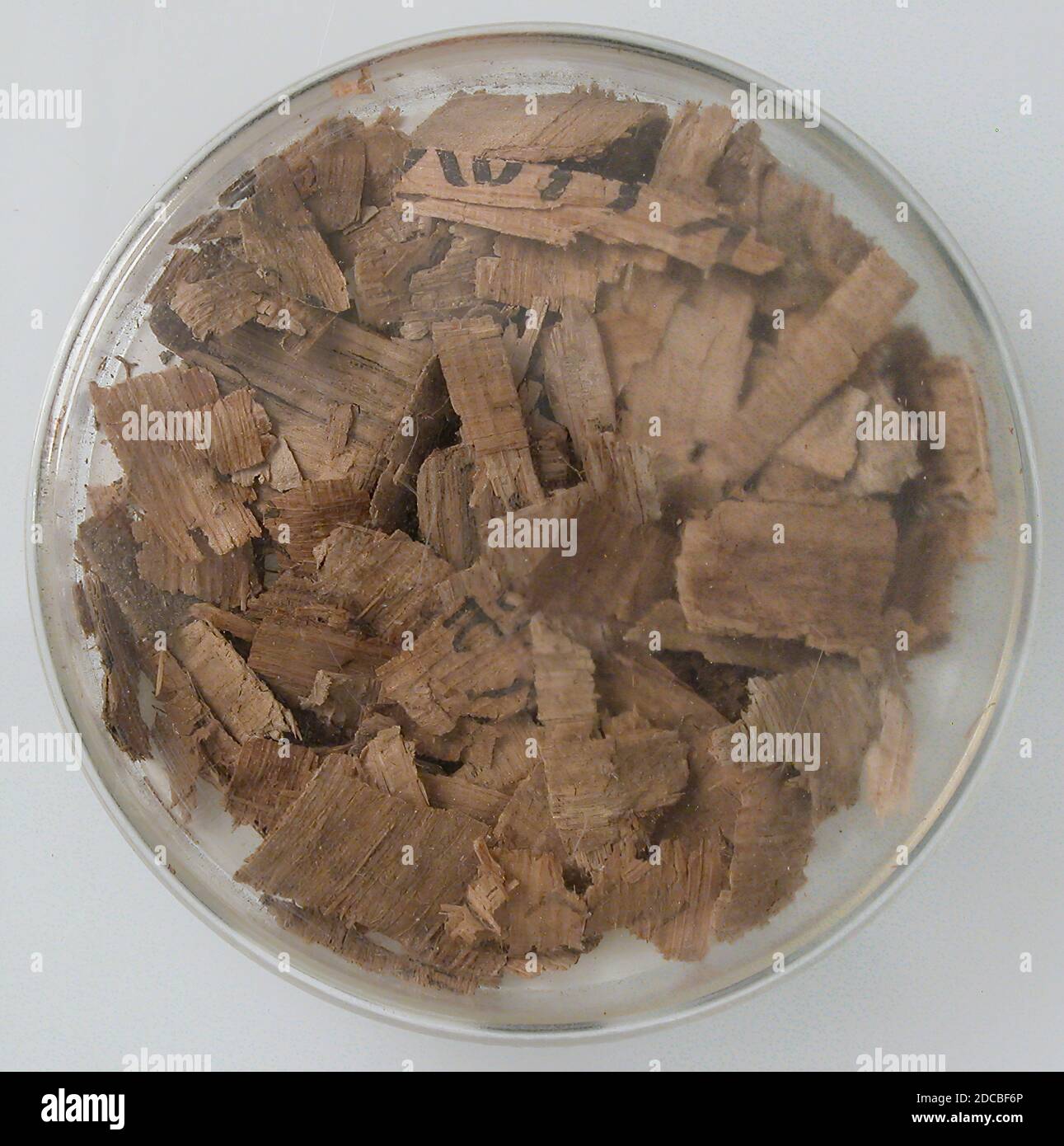 Papyri Fragments, Coptic, 7th century Stock Photo - Alamy