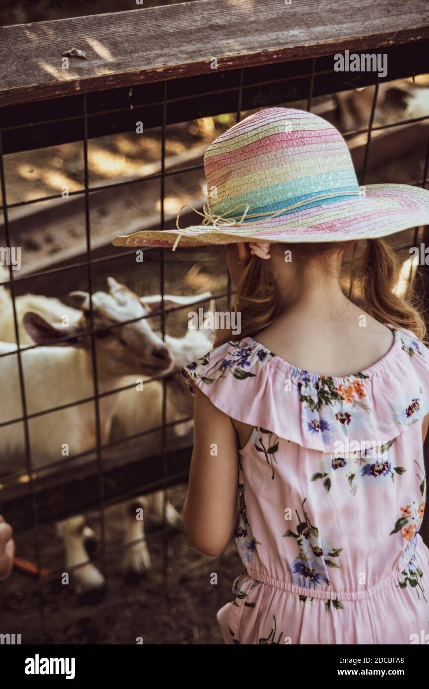 Little girl at the farm, feeding goats Stock Photo - Alamy