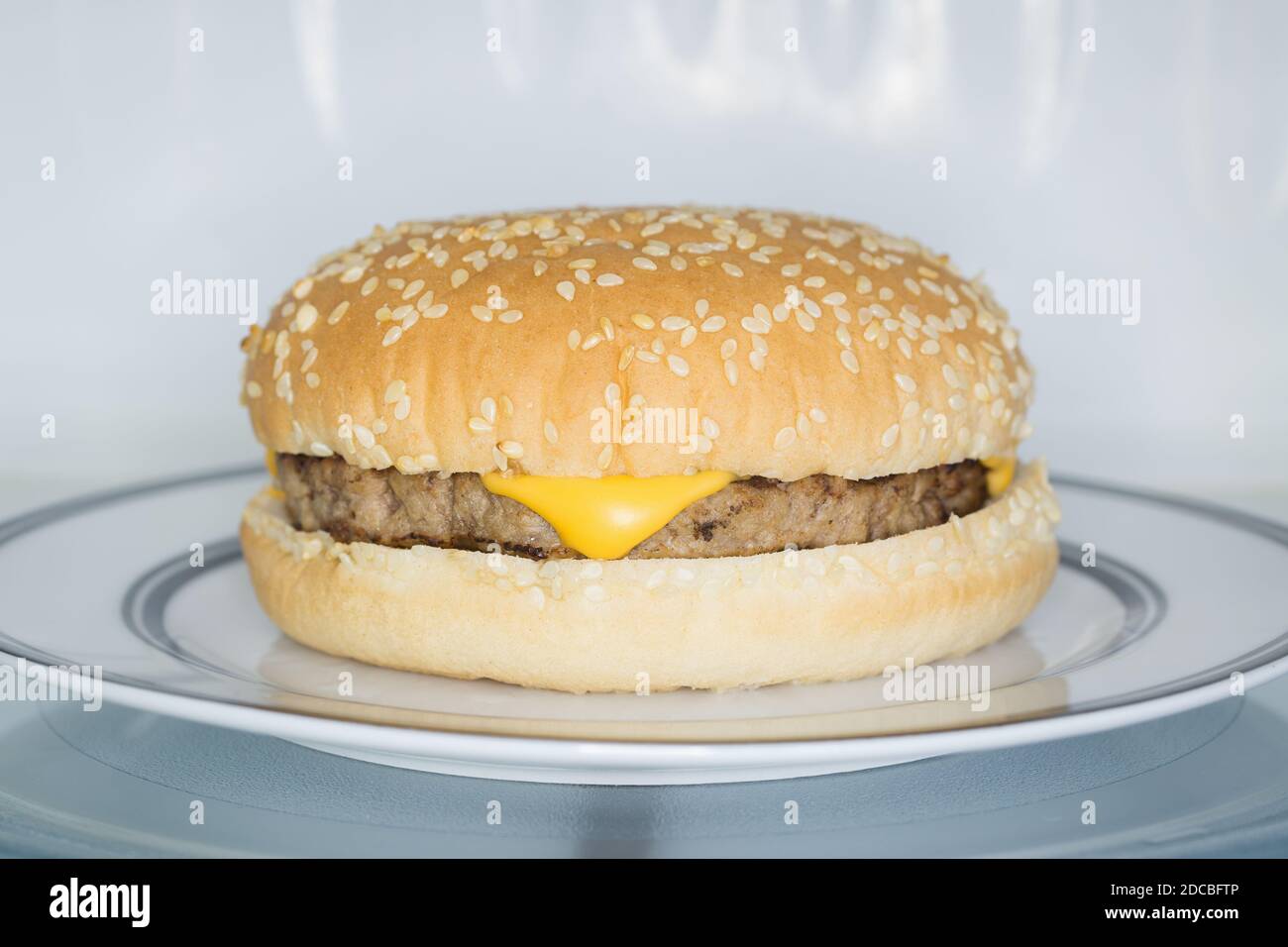 Microwavable cheese burger in a sesame seed bun in a microwave oven an example of modern fast food Stock Photo