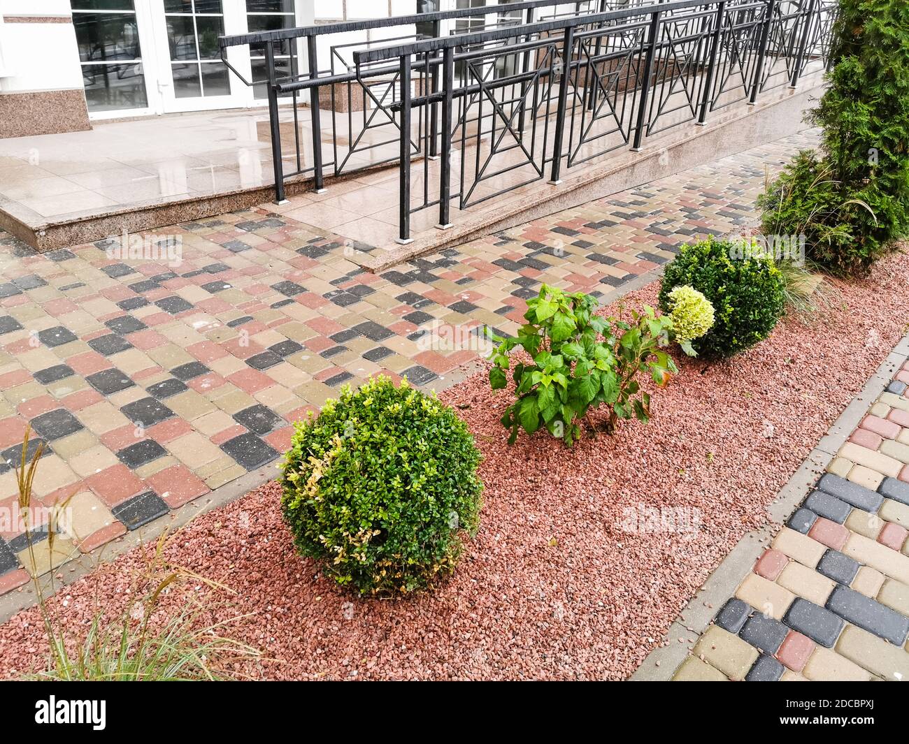 green bushes in the flower bed at home. landscape design of the gardens ...
