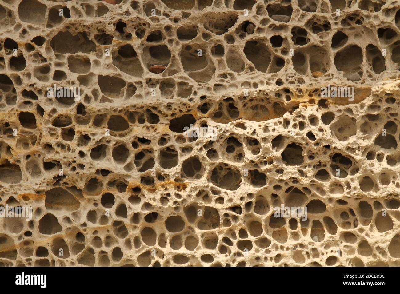 Close up of the Honeycomb Weathering on the Sandstone Sea Cliffs, Elgol, Isle of Skye, Inner Hebrides, Scotland, UK. Stock Photo