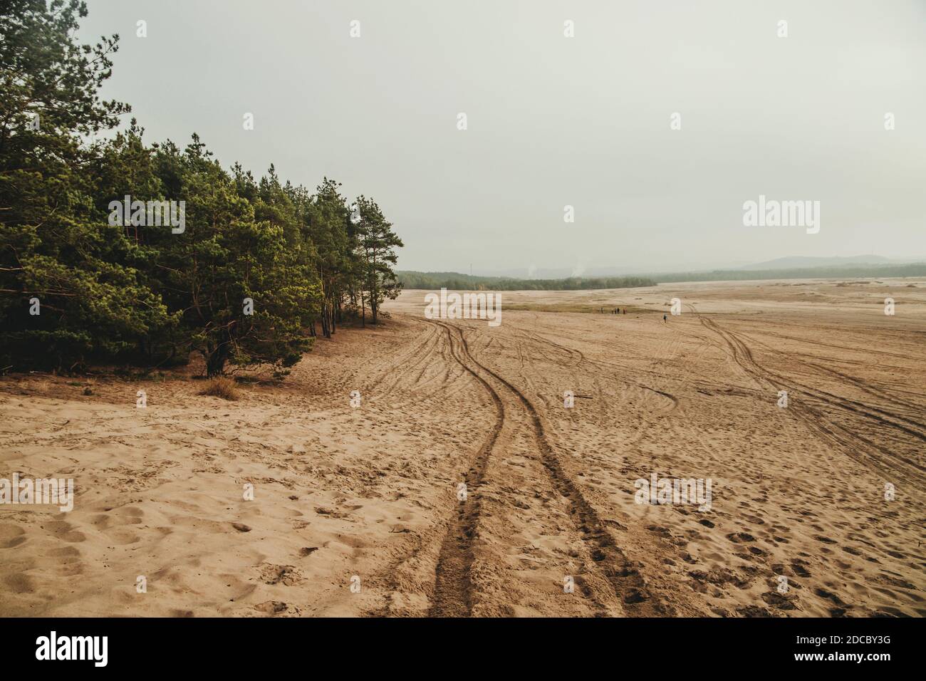 Bledow desert (pustynia bledowska) biggest sand desert in Silesia ...