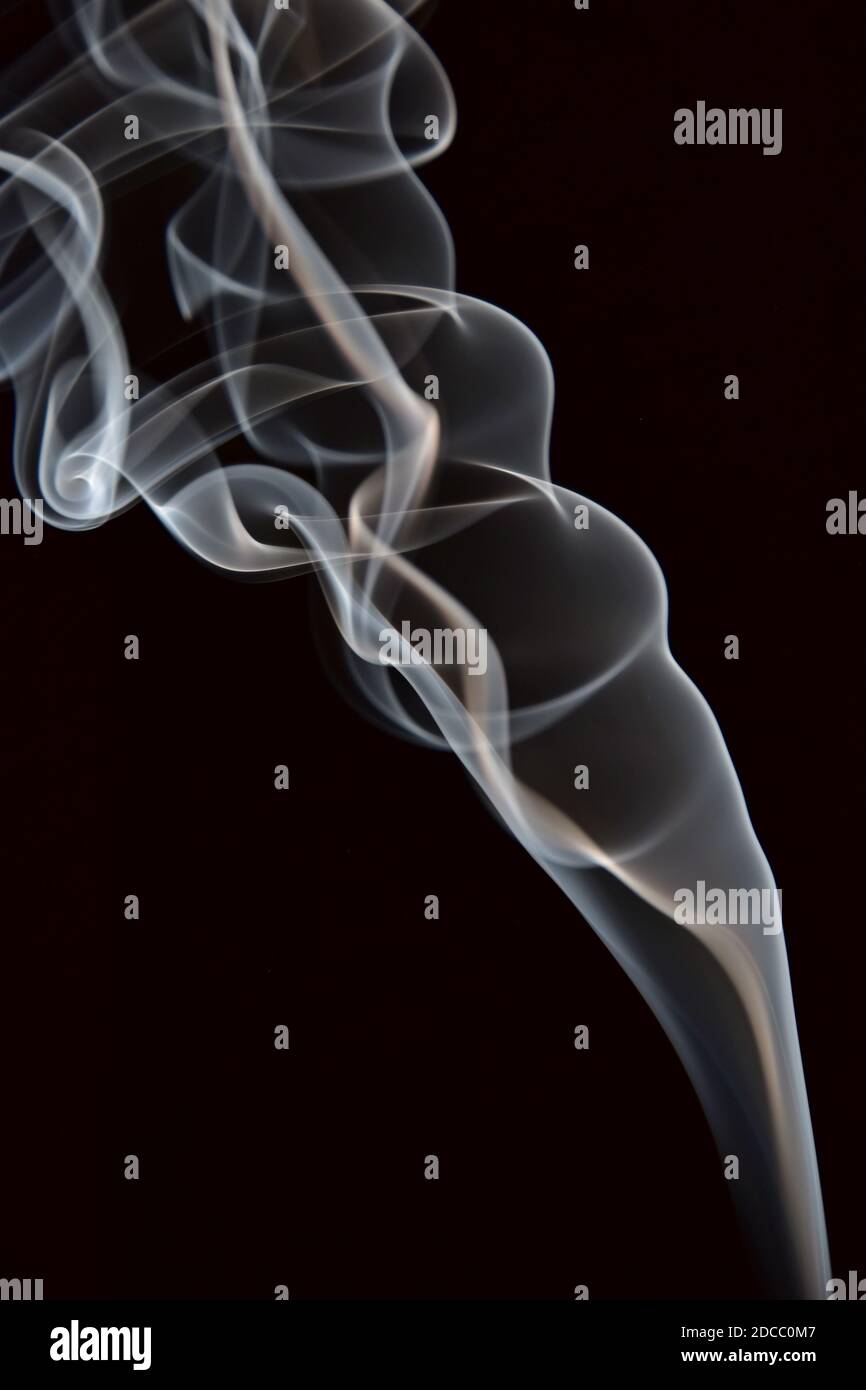 Partec Smoke Smoke is a collection of airborne particulates and gases emitted when a ...
