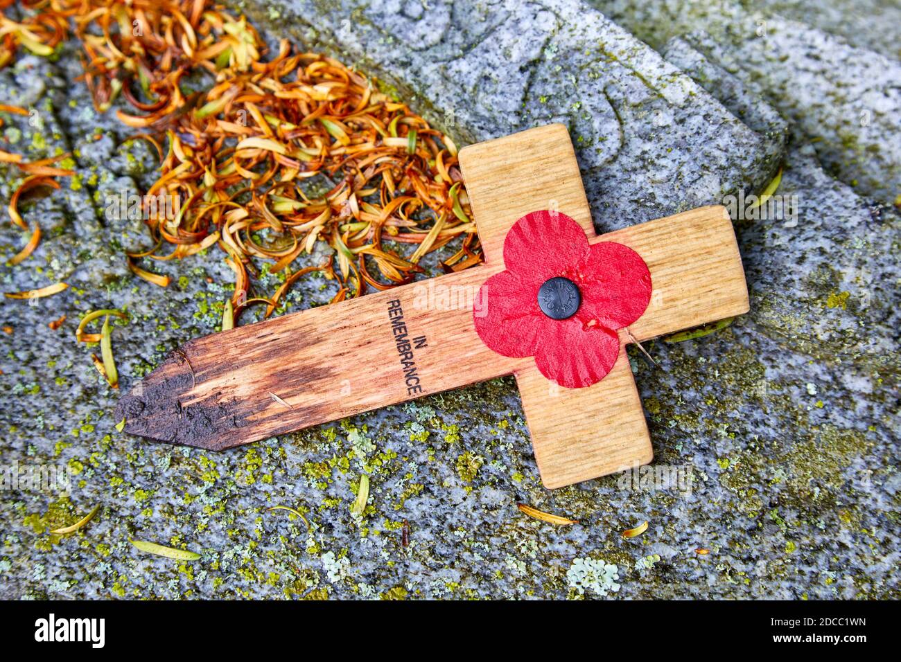 In Remembrance cross with poppy Stock Photo